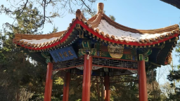 spbo1体球网足球比分