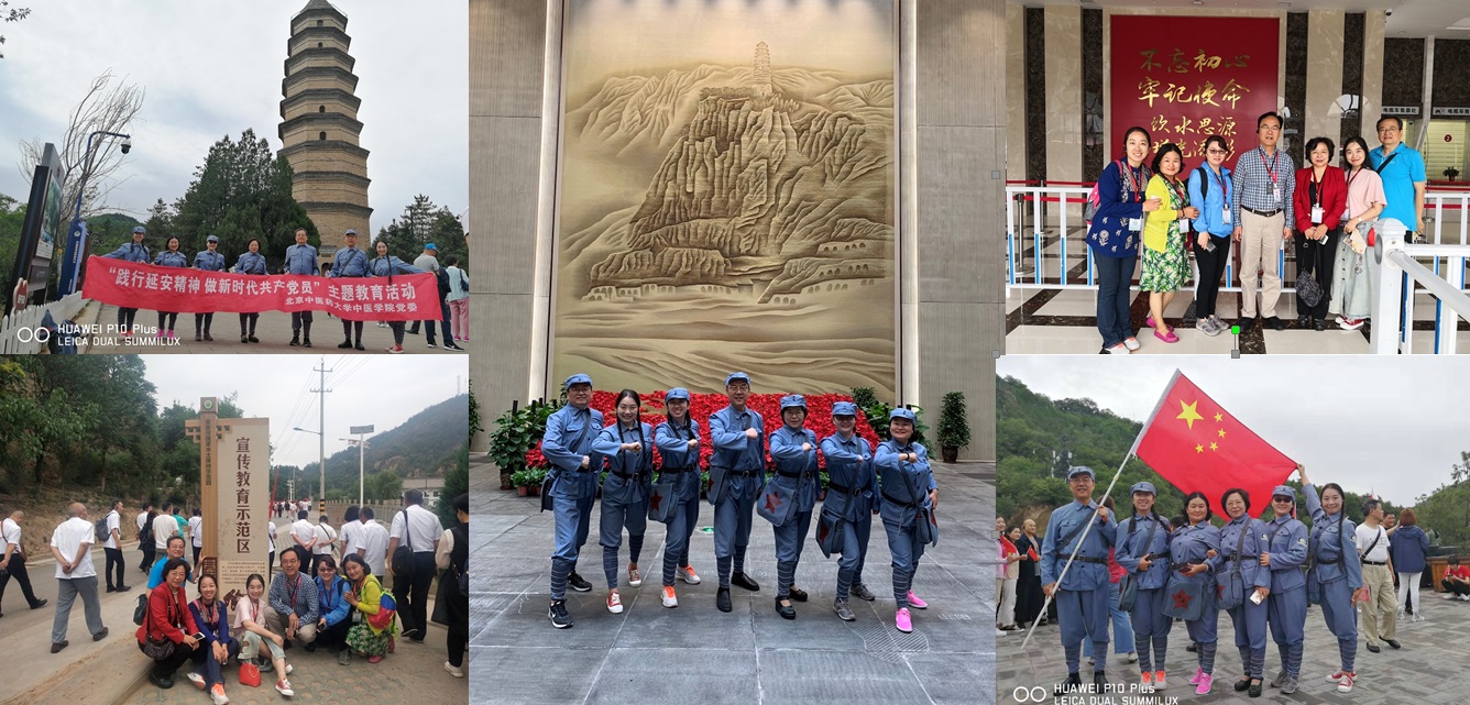 spbo1体球网足球比分