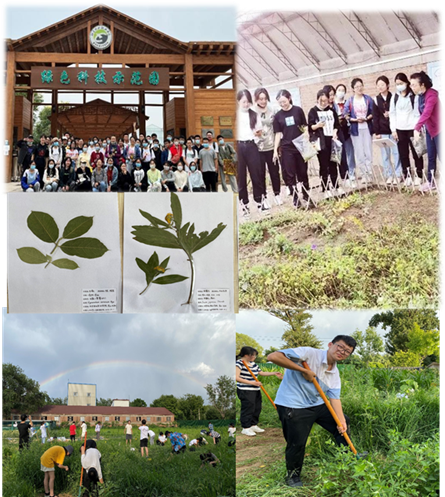 spbo1体球网足球比分