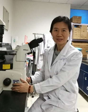 spbo1体球网足球比分